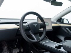 Tesla Model Y Rear-Wheel Drive - ფოტო 8