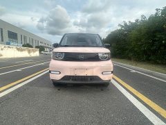 Chery QQ Ice Cream 170km Milkshake LFP - ფოტო 2