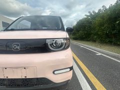 Chery QQ Ice Cream 170km Milkshake LFP - ფოტო 20