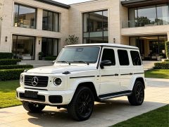 Mercedes-Benz G-Class G 500 - ფოტო 1