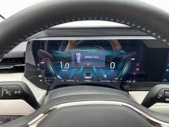 BMW EVOS EcoBoost 245 Fashion Edition - ფოტო 11