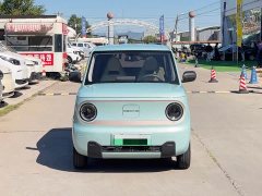 Geely Panda Mini 200km Endurance Edition - ფოტო 2