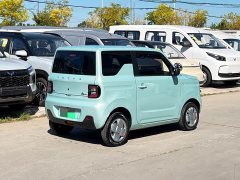 Geely Panda Mini 200km Endurance Edition - ფოტო 3