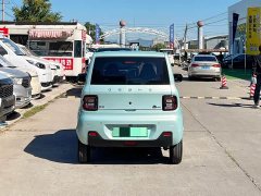Geely Panda Mini 200km Endurance Edition - ფოტო 4