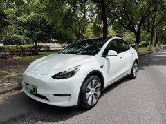 Tesla Model Y 2021 Standard Range RWD - ფოტო 1