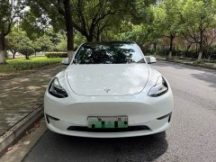 Tesla Model Y 2021 Standard Range RWD - ფოტო 2