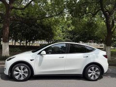 Tesla Model Y 2021 Standard Range RWD - ფოტო 5