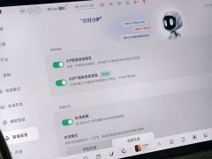 Xpeng Xiaopeng MONA M03 620 Extended Range - ფოტო 11