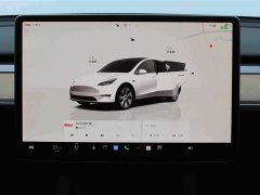 Tesla Model Y Rear-Wheel Drive - ფოტო 10