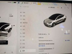 Tesla Model 3 Rear-Wheel Drive - ფოტო 11