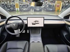 Tesla Model 3 Rear-Wheel Drive - ფოტო 16
