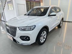 Haval H6 National Trend Edition 1.5T Automatic Urban Version - ფოტო 1
