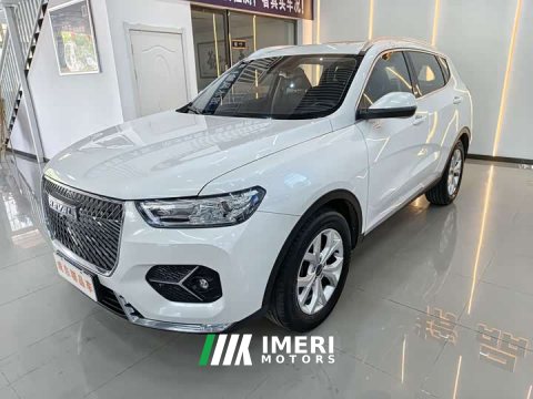 2021 Haval H6 National Trend Edition 1.5T Automatic Urban Version - ავტომობილი ჩინეთიდან