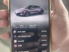 Xiaomi SU7 2024 Rear-Wheel Drive Ultra-Long Range Advanced Autonomous Driving Pro - ფოტო 15
