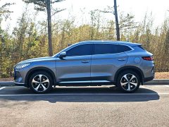 BYD Song Plus New Energy 2021 DM-i 110KM Flagship Plus - ფოტო 7