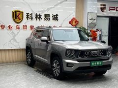 Haval Big Dog PLUS 2.0T AWD Trendy Wilderness Plus - ფოტო 3