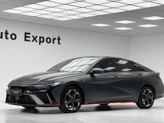 Hyundai Elantra 2023 240TGDi DCT N Line GLX Elite - ფოტო 8