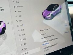 Tesla Model 3 Rear-Wheel Drive - ფოტო 16