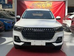 Haval H6 National Trend Edition 1.5T Automatic Urban Version - ფოტო 2