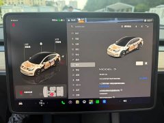 Tesla Model 3 2022 Rear-Wheel Drive - ფოტო 8