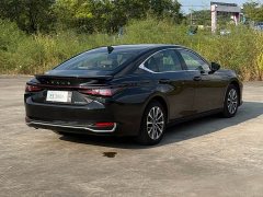 Lexus ES 300h Premium Edition - ფოტო 9