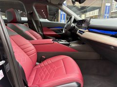 BMW 5 Series 530Li Luxury Edition Premium Package - ფოტო 14