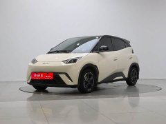 BYD Seagull Glory Edition 405km Flying Edition - ფოტო 1
