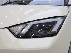 BYD Seagull Glory Edition 405km Flying Edition - ფოტო 11