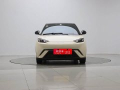 BYD Seagull Glory Edition 405km Flying Edition - ფოტო 2