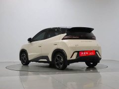 BYD Seagull Glory Edition 405km Flying Edition - ფოტო 3