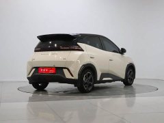 BYD Seagull Glory Edition 405km Flying Edition - ფოტო 5