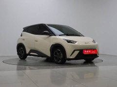BYD Seagull Glory Edition 405km Flying Edition - ფოტო 6