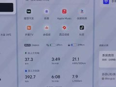 Li Auto L9 2022 Max - ფოტო 9