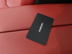 Xiaomi SU7 2024 Quad Motor Ultra-Long Range Advanced Autonomous Driving Max - ფოტო 13