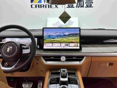 Tank 500 New Energy 2023 Hi4-T - ფოტო 12