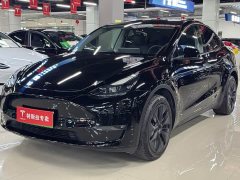 Tesla Model Y Long Range All-Wheel Drive - ფოტო 1