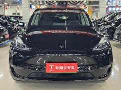 Tesla Model Y Long Range All-Wheel Drive - ფოტო 2