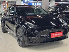 Tesla Model Y Long Range All-Wheel Drive - ფოტო 3