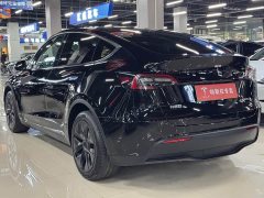 Tesla Model Y Long Range All-Wheel Drive - ფოტო 7