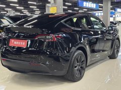 Tesla Model Y Long Range All-Wheel Drive - ფოტო 9