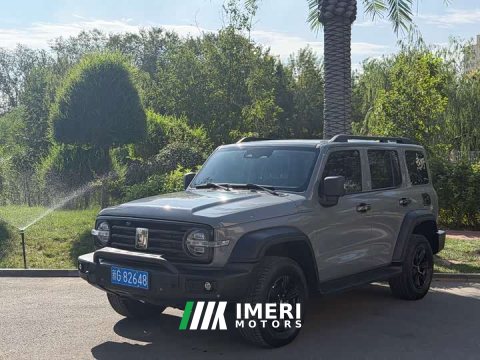 2021 Tank 300 Off-Road Edition 2.0T Conqueror - ავტომობილი ჩინეთიდან