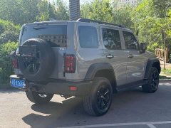 Tank 300 Off-Road Edition 2.0T Conqueror - ფოტო 8