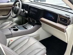 Leapmotor C11 2021 Facelift Luxury - ფოტო 11