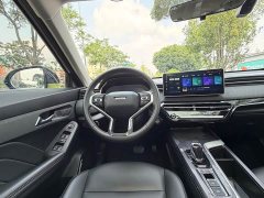 Haval Chitu Jingxiang Edition 1.5T Purple Copper Rabbit - ფოტო 14