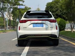 Haval Chitu Jingxiang Edition 1.5T Purple Copper Rabbit - ფოტო 5