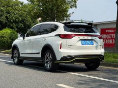 Haval Chitu Jingxiang Edition 1.5T Purple Copper Rabbit - ფოტო 6