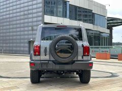 Tank 300 Off-Road Edition 2.0T Conqueror - ფოტო 6