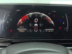 Trumpchi Leopard 270T DCT J15 - ფოტო 14