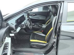 Trumpchi Leopard 270T DCT J15 - ფოტო 9