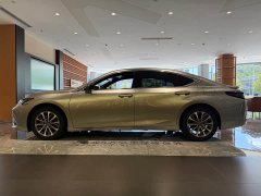 Lexus ES 300h Premium Edition - ფოტო 3